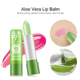 Natural Aloe Vera Lip Moisturizer - Everyday-Live